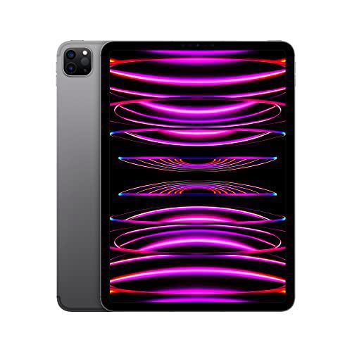 Apple 2022 iPad Pro de 11 Pulgadas (Wi-Fi, 1 TB) - Gris Espacial (4.ª generación)